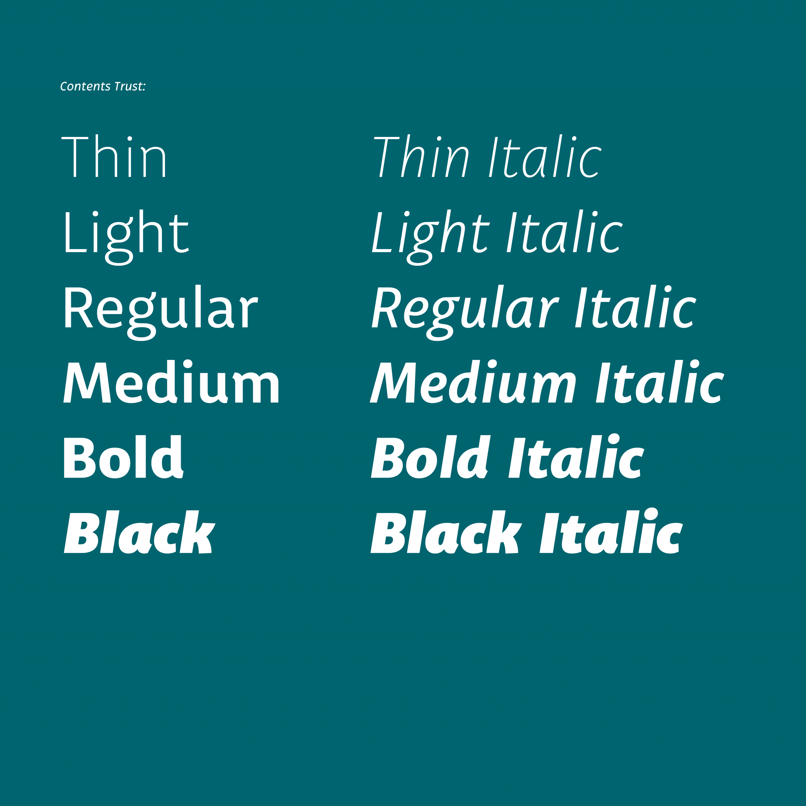 Trust Sans Complete Web - Image 2