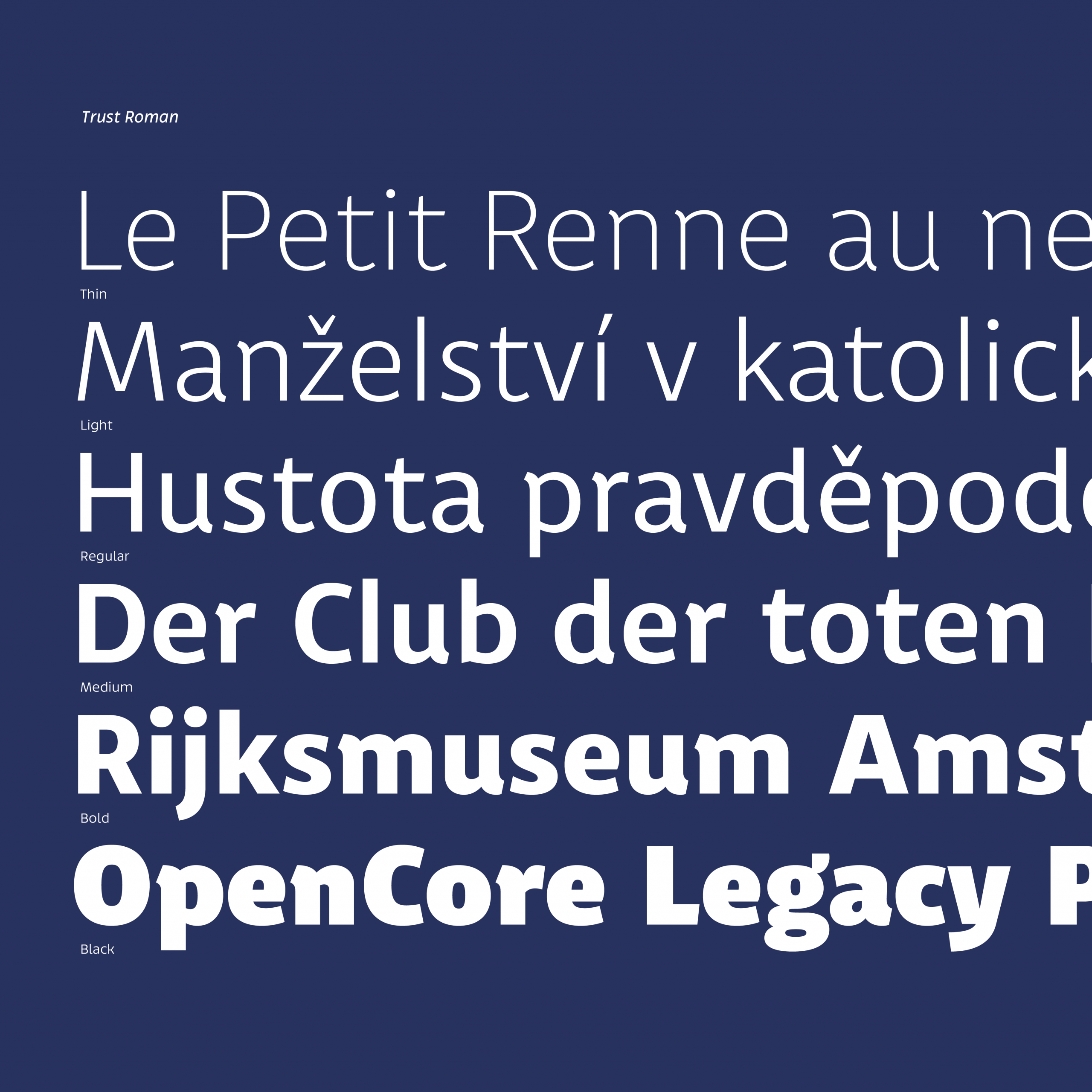 Trust Sans Complete Web - Image 4