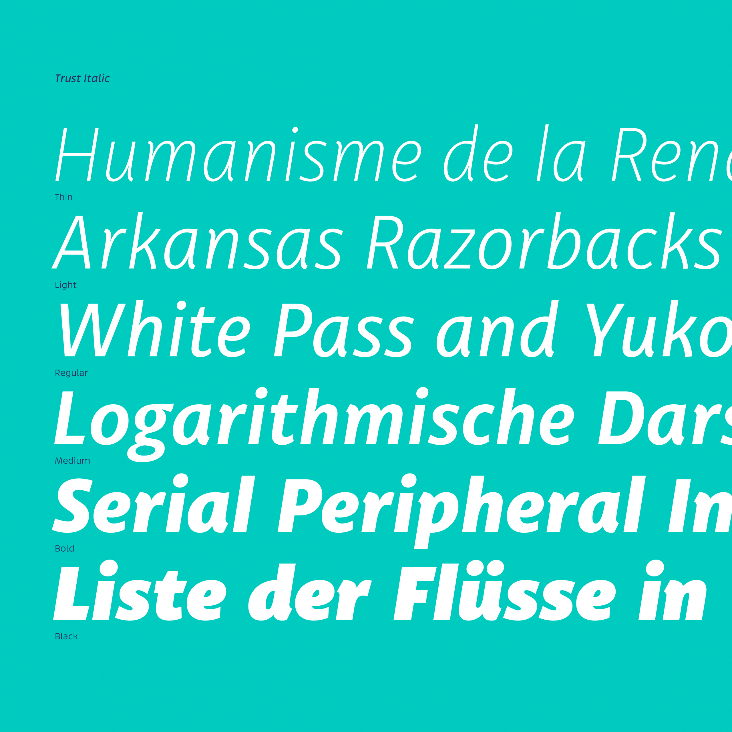 Trust Sans Complete Web - Image 5