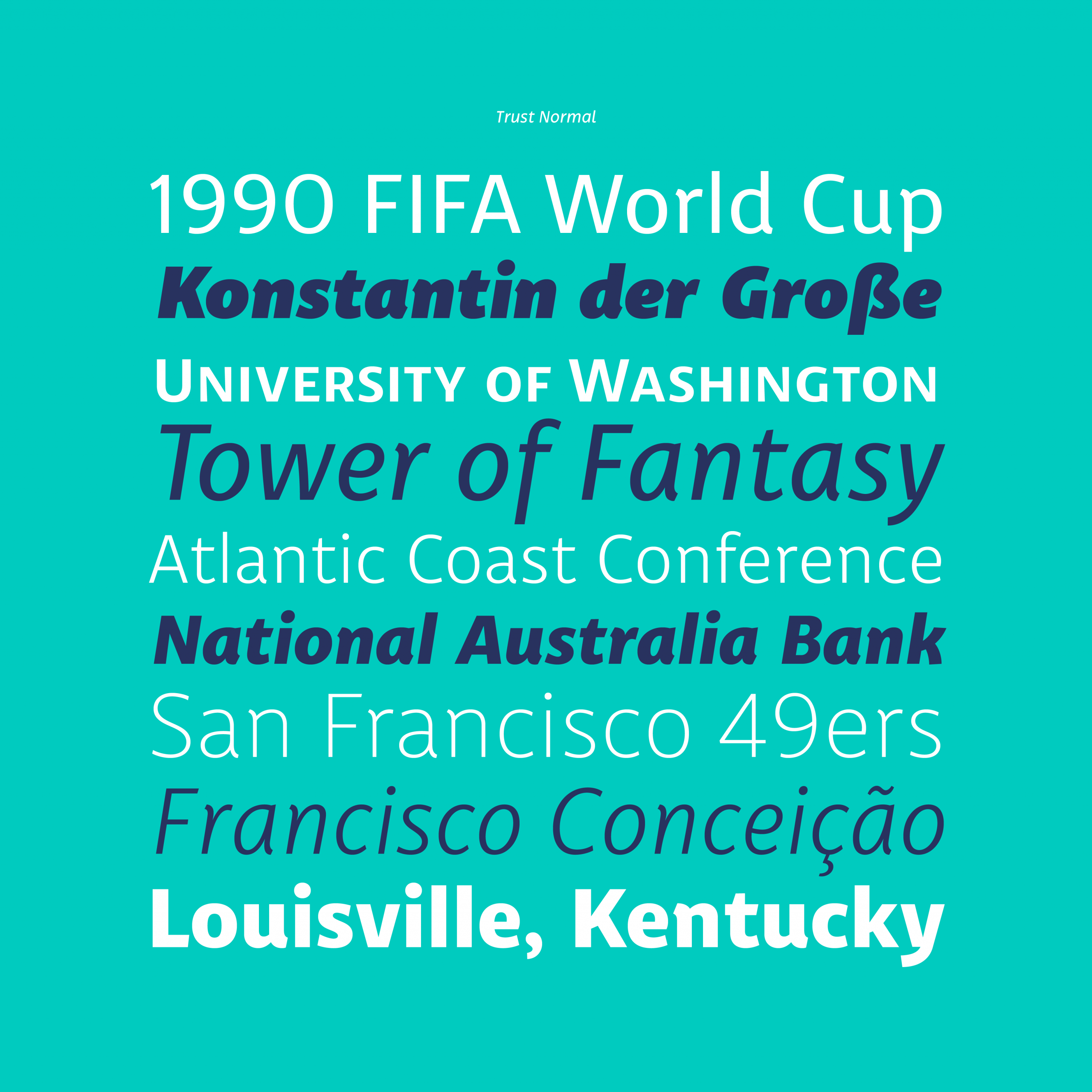 Trust Sans Complete Web - Image 8