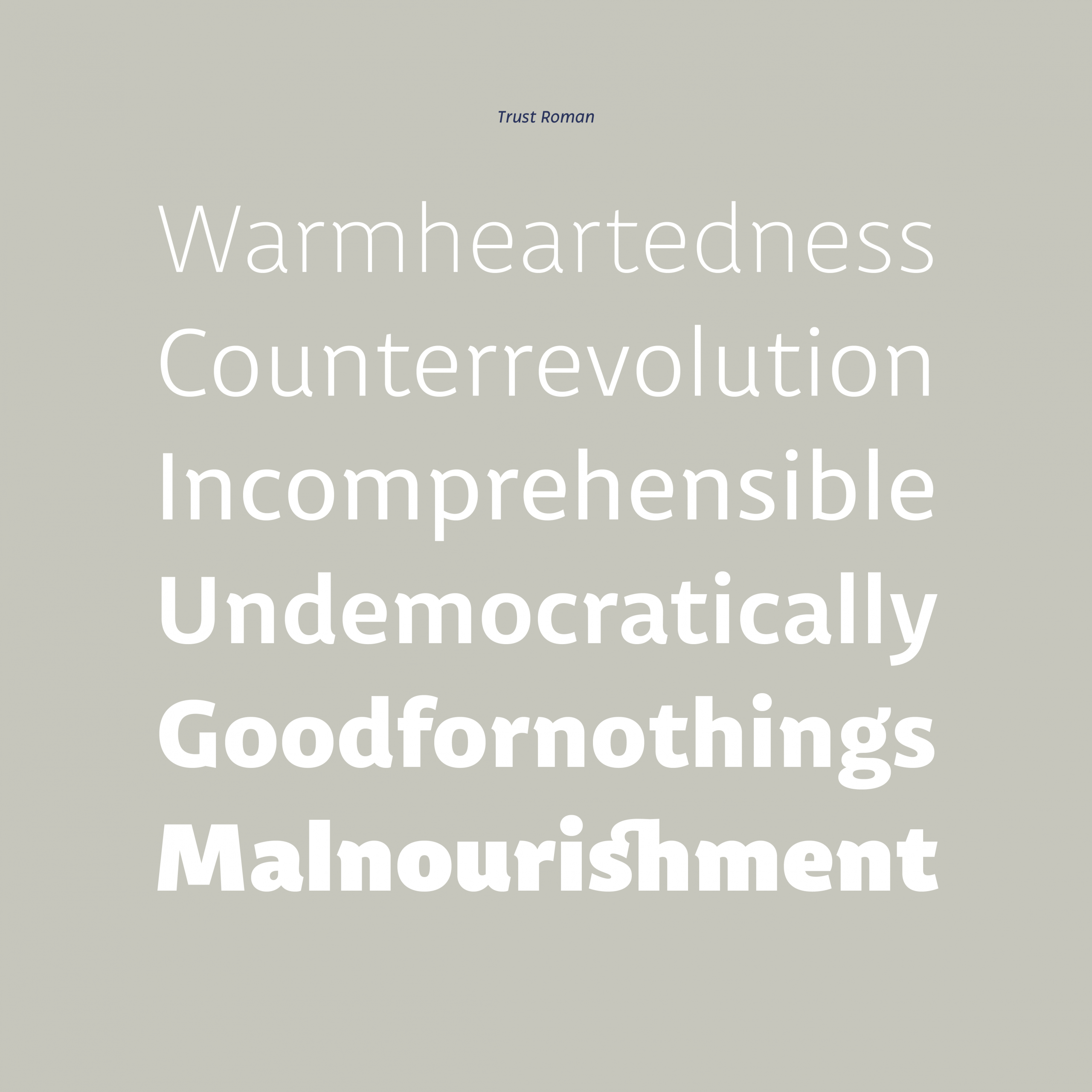 Trust Sans Complete Web - Image 10