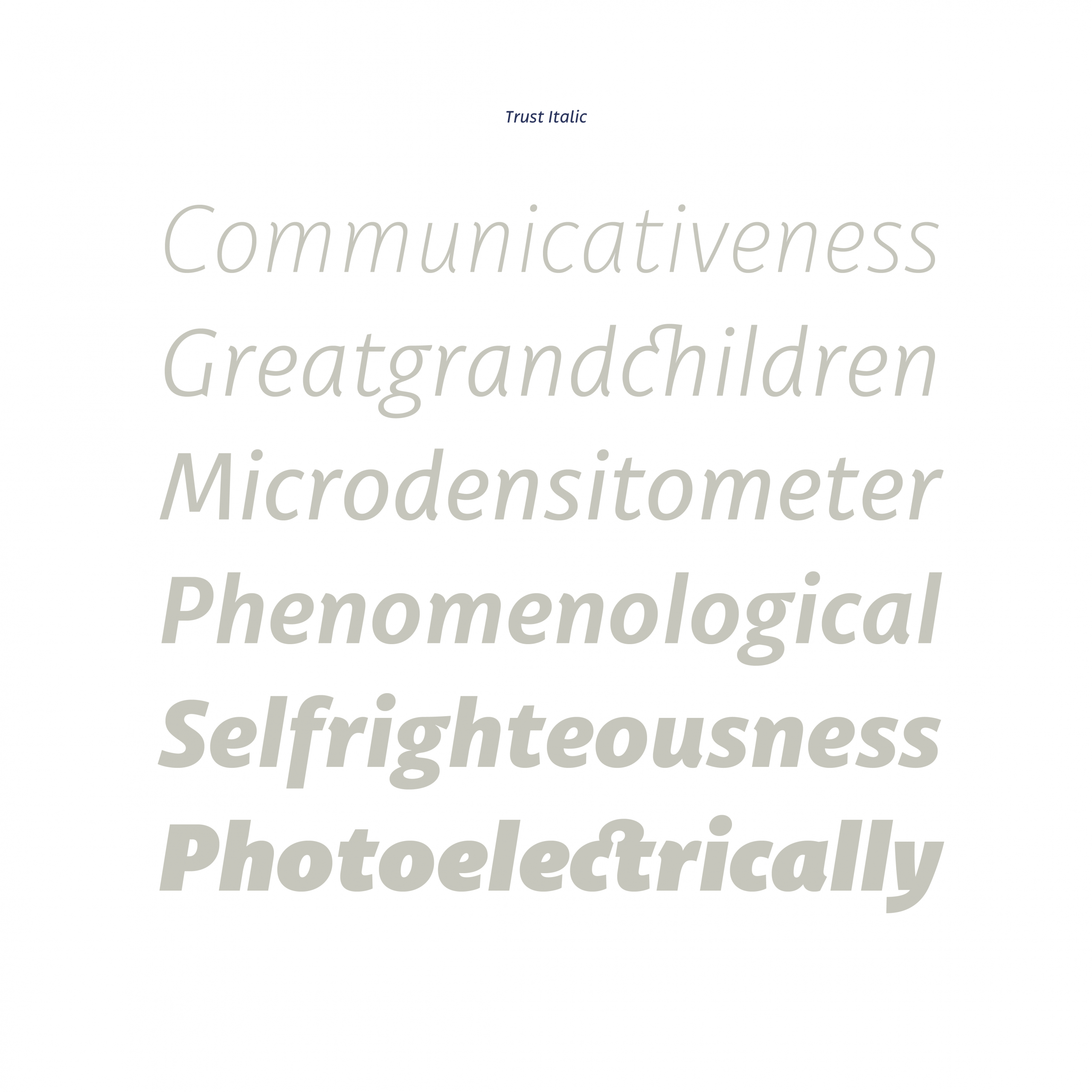 Trust Sans Complete Web - Image 11