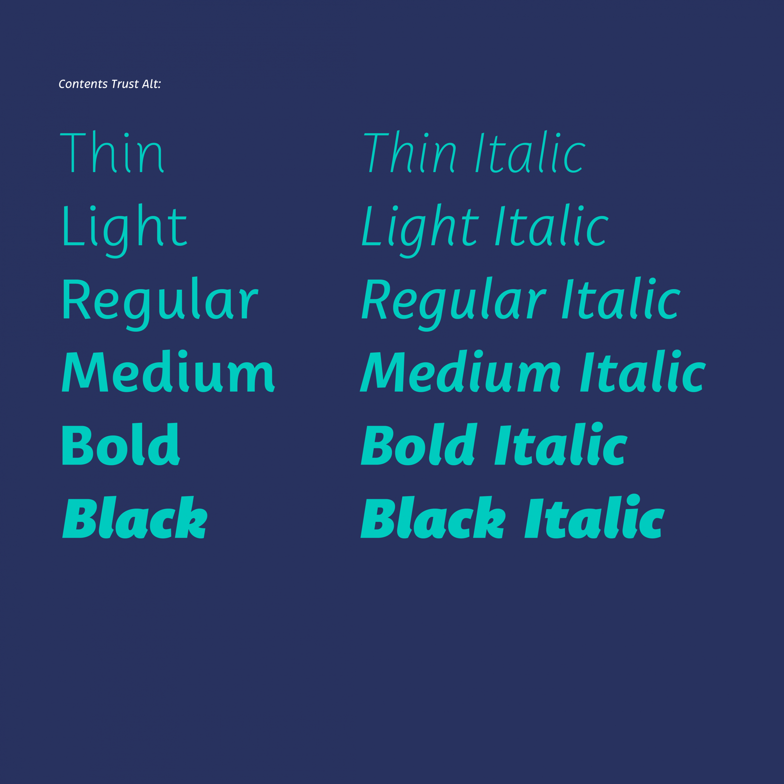 Trust Sans Complete Web - Image 3