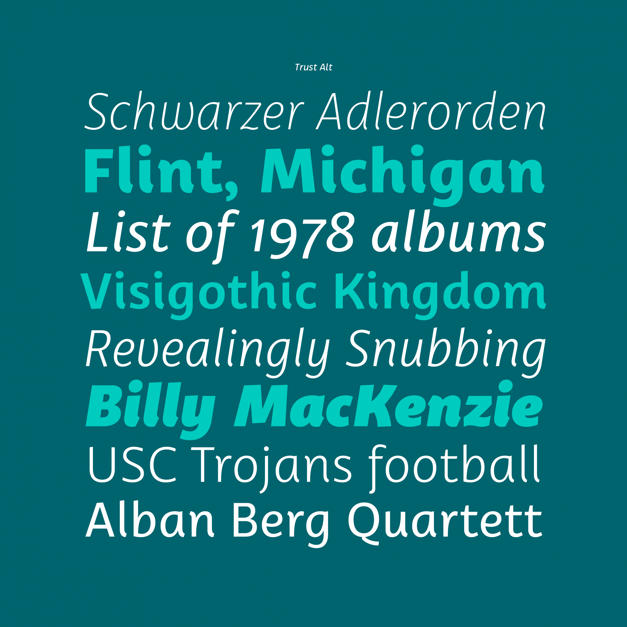 Trust Sans Complete Web - Image 9