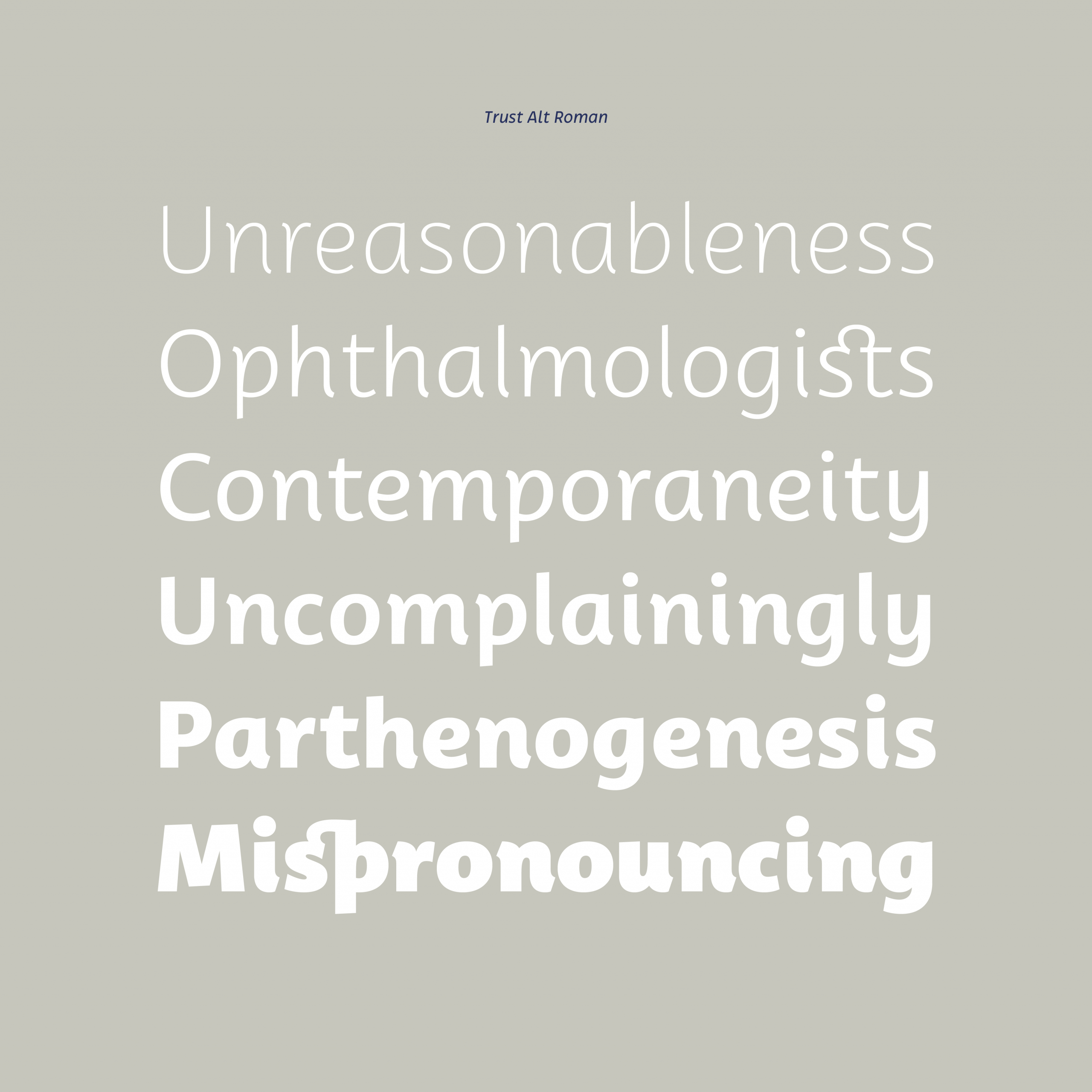 Trust Sans Complete Web - Image 12